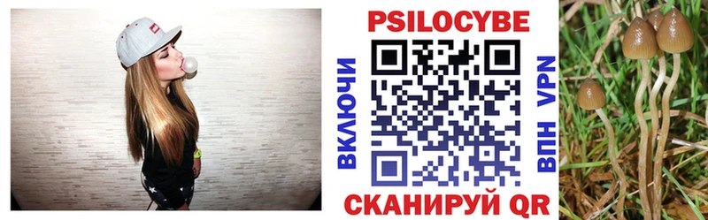 OMG онион  Армавир  Галлюциногенные грибы ЛСД 